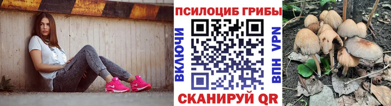 где продают   Сосновоборск  Псилоцибиновые грибы мицелий 